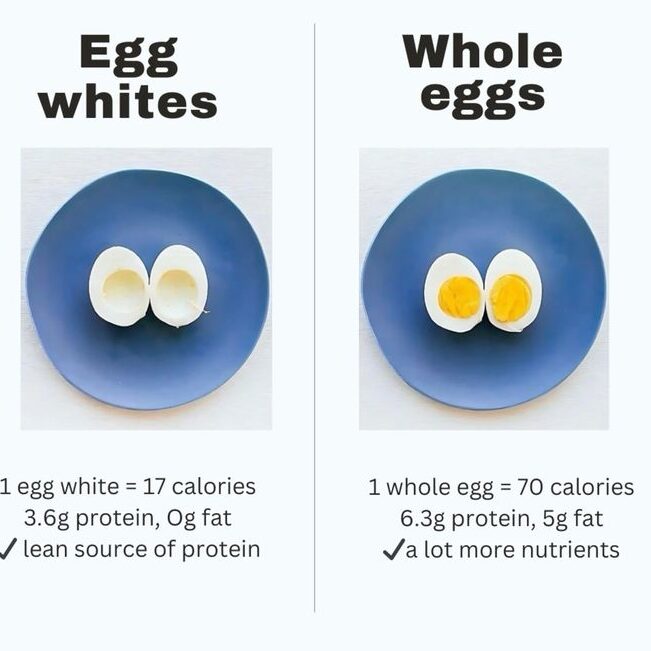 Myths vs Facts about eggs
